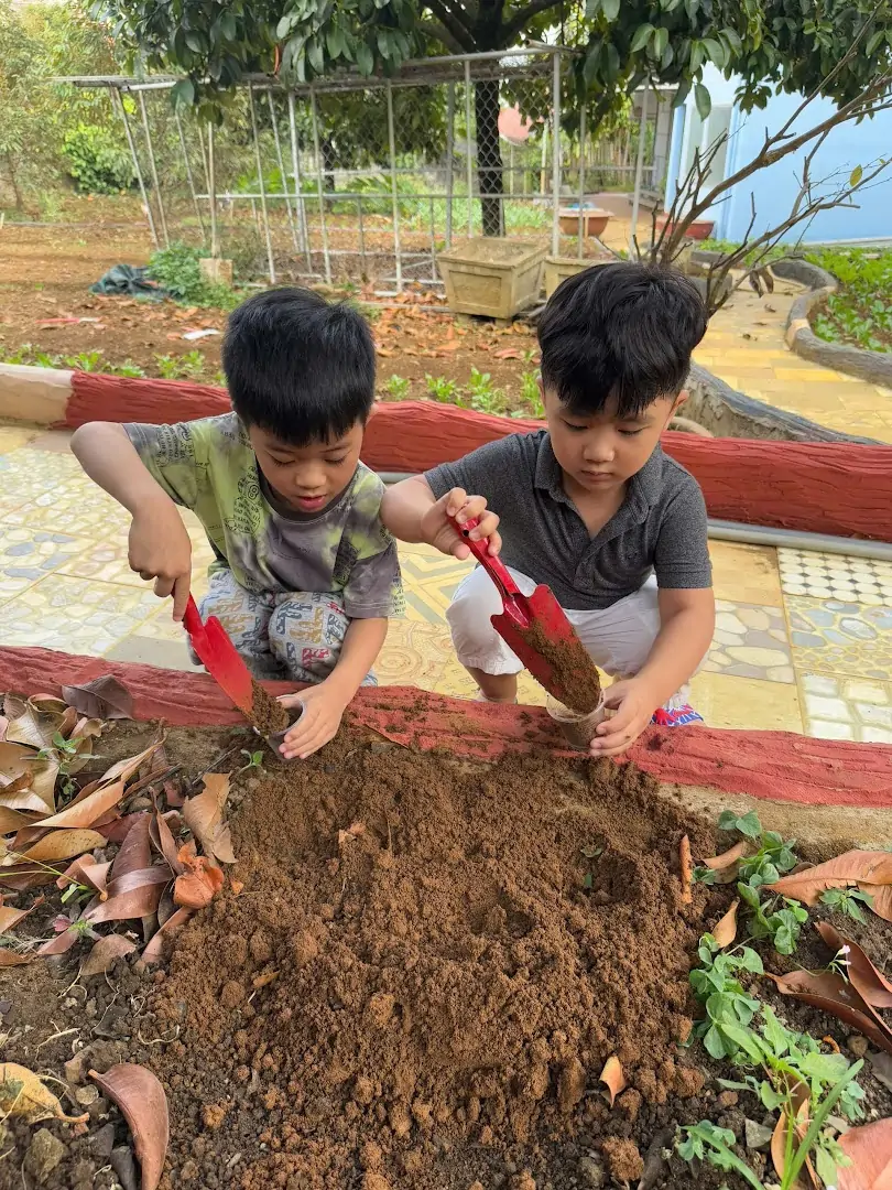 HOẠT ĐỘNG TRẢI NGHIỆM TRỒNG RAU CỦA BÉ